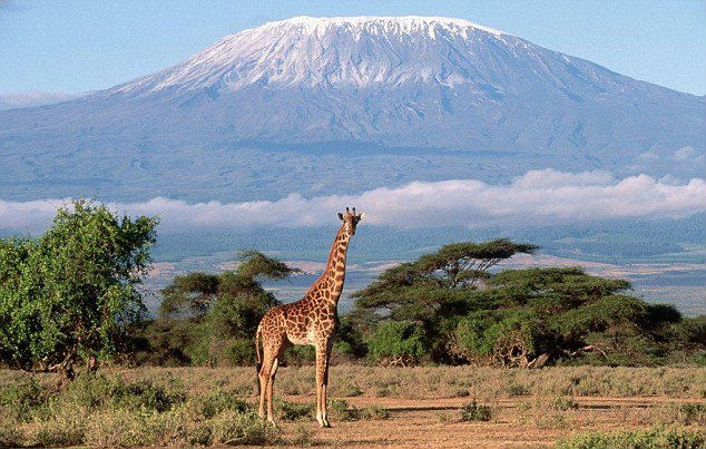 Beautiful View of Mt Kilimanjaro